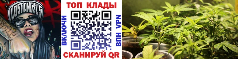 Хочу наркоту Александров Галлюциногенные грибы  Меф  АМФ  МАРИХУАНА  Cocaine 