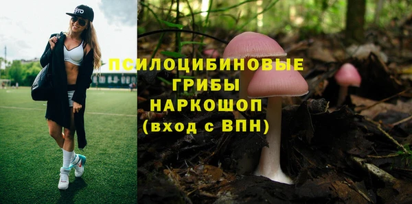 Альфа ПВП Абинск