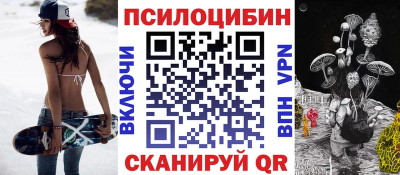 Псилоцибиновые грибы Psilocybine cubensis наркошоп Александров
